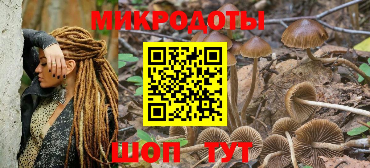 Псилоцибиновые грибы прущие грибы  Вход с VPN  Ялуторовск  Галлюциногенные грибы мухоморы 